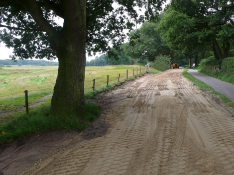 20110826-schapendrift_2011-1-k.jpg